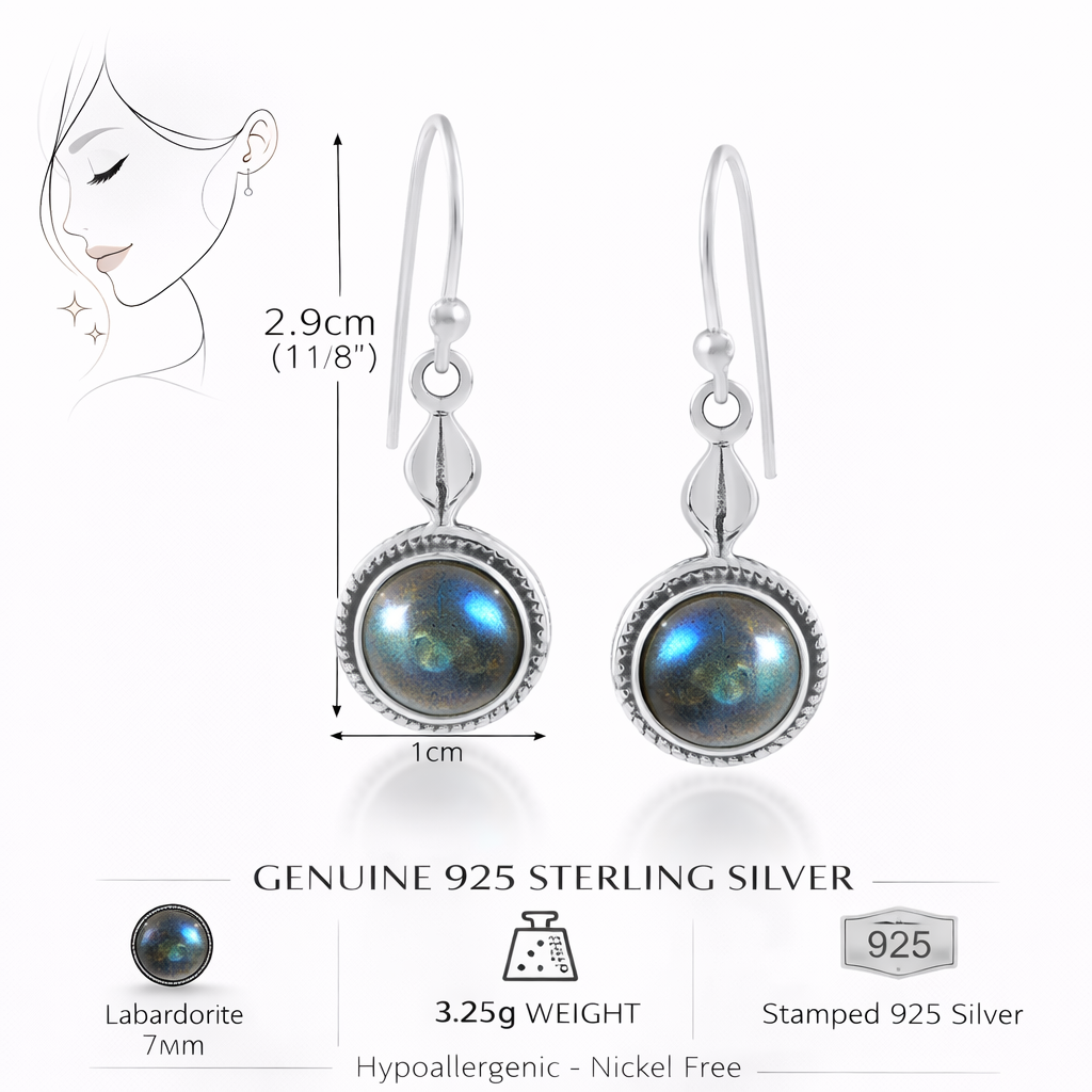 Labradorite Silver Round Dangle Earrings